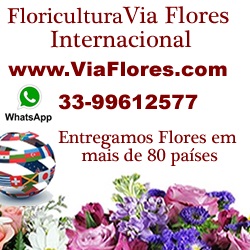 www.viaflores.com.br/imagens/atendimento_online_26.jpg
